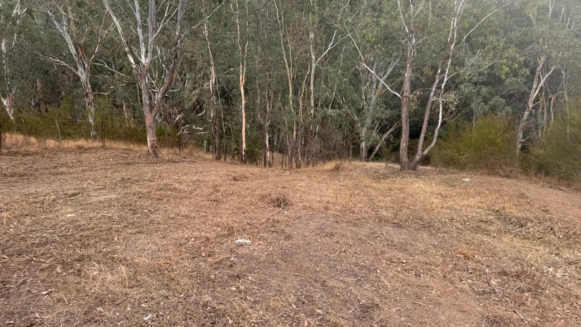 Land clearing and forestry mulching Central Victoria