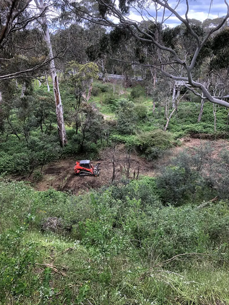 Land clearing and forestry mulching Central Victoria