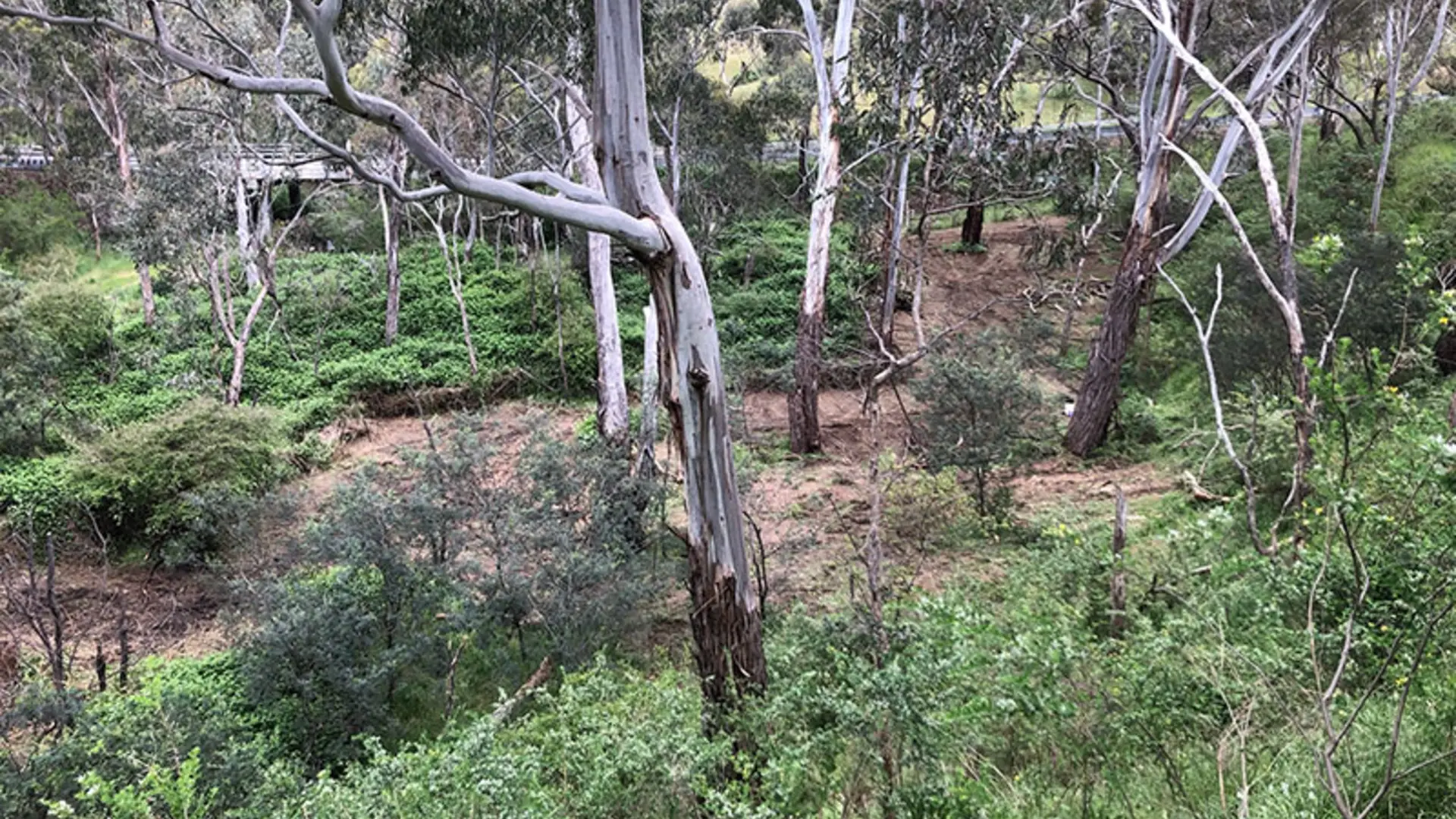 Land clearing and forestry mulching Central Victoria