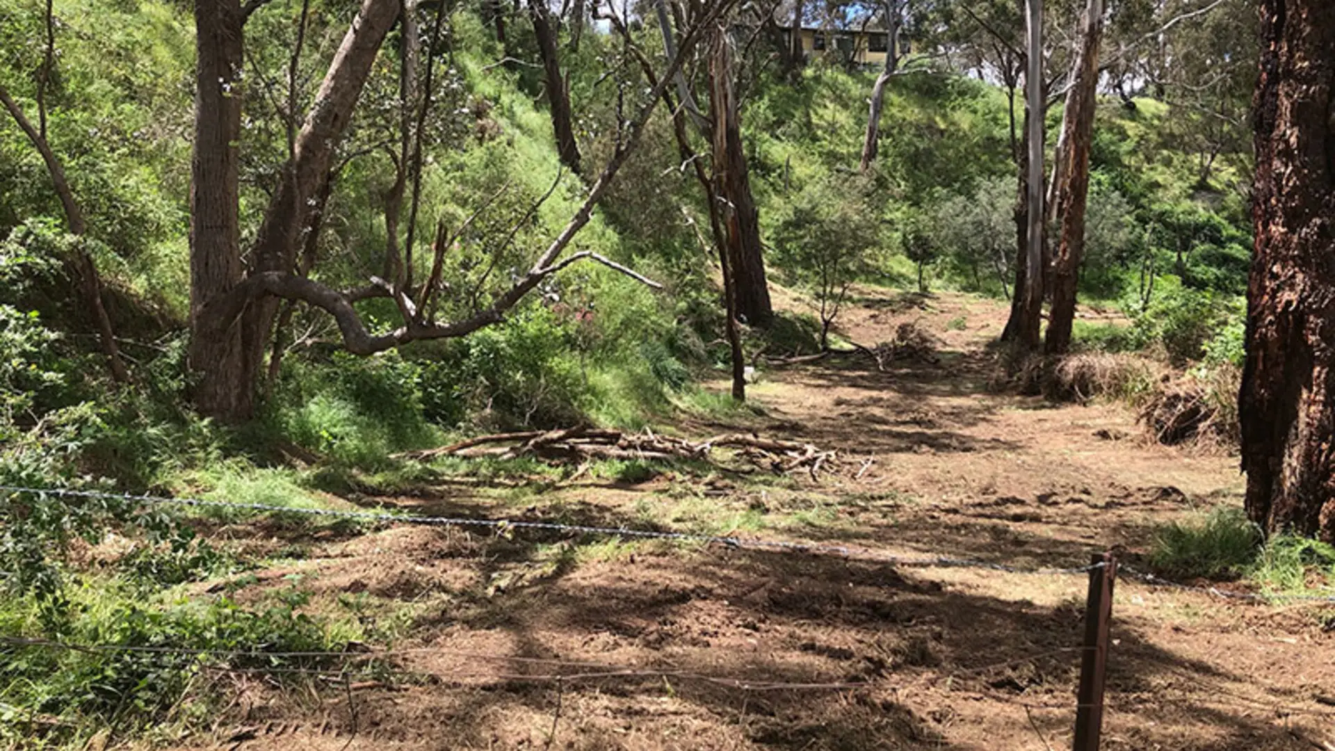 Land clearing and forestry mulching Central Victoria